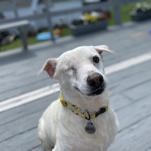 Fundraising Page: Maxie PAC ALUM